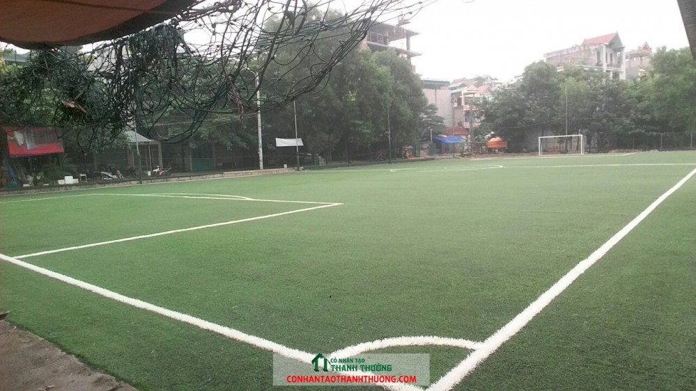 Sân bóng đá cỏ nhân tạo Cao Xanh, Hạ Long
