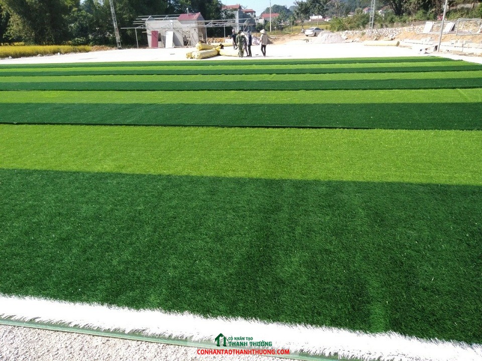 Trải cỏ sân bóng đá Lạng Sơn