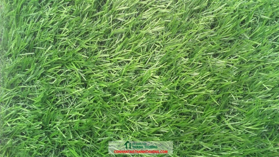 giá cỏ nhân tạo trong nhà