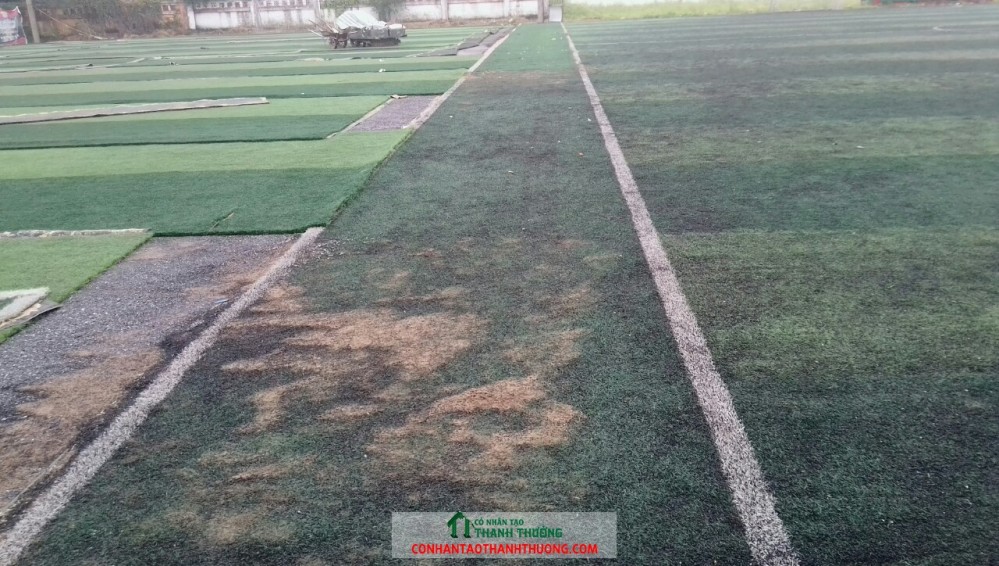Lột cỏ sân bóng đá cỏ nhân tạo