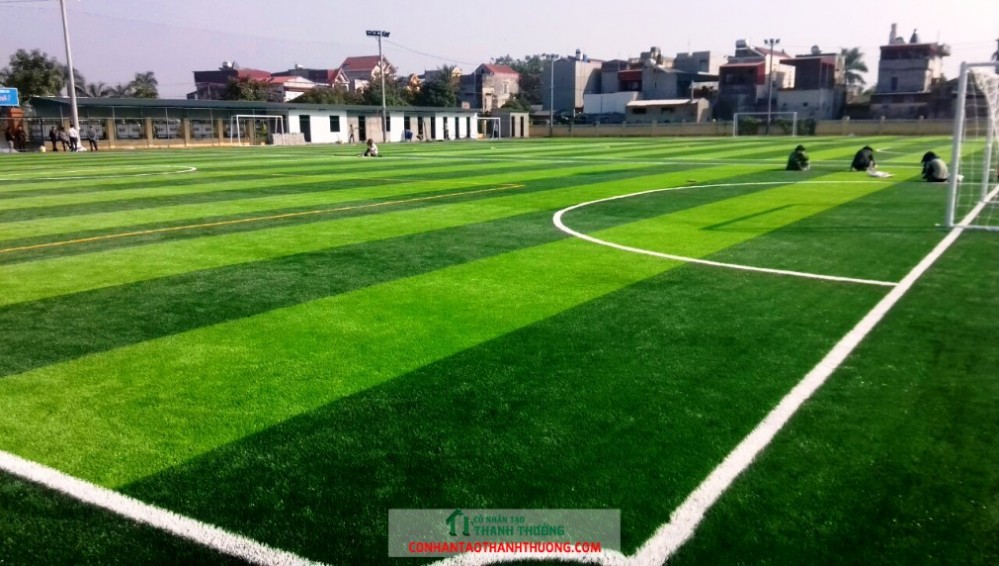 Cung cấp cỏ nhân tạo và thi công sân thể thao tại Vĩnh Phúc