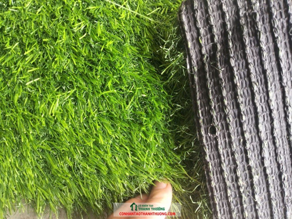 cỏ nhân tạo sân vườn giá rẻ chỉ 75K/m2