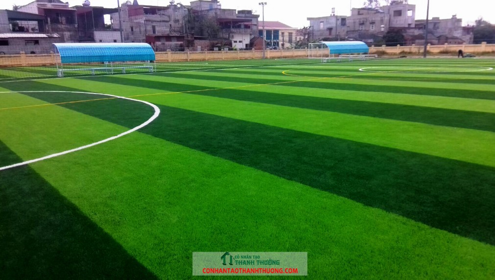 cỏ nhân tạo sân bóng đá tại Móng Cái